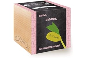 Feel Green Message Cube, Avec Haricot Magique Gravé Au Laser: T'Aime, Idée Cadeau (100% Ecologique), Grow-Your-Own/Kit Prêt-à-Pousser, Plantes Dans Des Cubes En Bois 7.5cm, Produit en Autriche