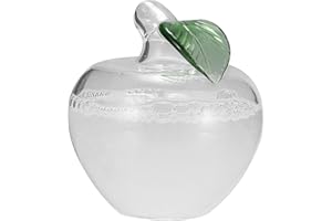 Konesky Weather Glass Weather Forecaster Weather Station Liquid Barometer Weather Predictor