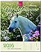 PFERDETRÄUME - Original Stürtz-Kalender 2016 - Hochformat-Kalender 36 x 45 cm mit Platz für Notizen (Notiz-Kalender) by 