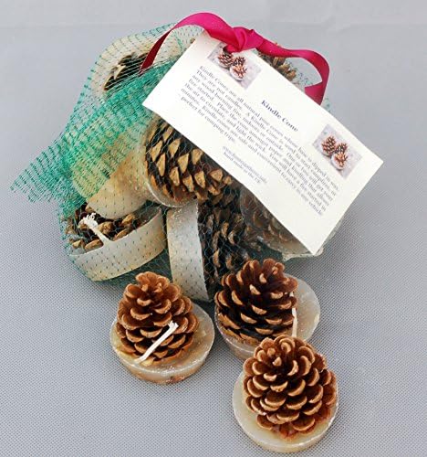 Hunter Gatherer Cinnamon Scented Kindle Cone Firelighters, Natural Pine Cones Infused With Cinnamon Oil. Set of 12 in White
