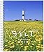 Produktbild Sylt - die Insel 2018 Tischkalender