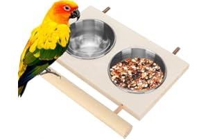 PETYOUNG Stainless Steel Bird Feeding Bowl for Cage, Parrot Food Water Feeder Cage Accessory with Stand for Pet Birds Like Parakeet,Conure,Cockatiels,Finches