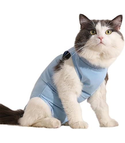 Nuovissima Tuta Gatto In Lattice A Maniche Corte Con Cavallo Aperto E Seno Tagl
