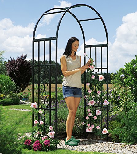 Beckmann Rosenbogen-Plus