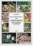 Image de Das große Buch der Steingartenpflanzen