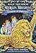 Magic Tree House #33: Carnival at Candlelight (A Stepping Stone Book(TM)) (Magic Tree House (R) Merlin Mission) RS.95.00