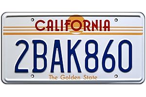 CELEBRITY MACHINES Back to the Future | 2BAK860 | Metal Stamped License Plate