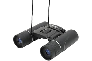 Yunseity Jumelles Pliantes 100x22, Jumelles Légères Compactes HD, Mini Télescope Binoculaire Antichoc de Poche pour L'observation des Oiseaux, Les Voyages, Le Tourisme