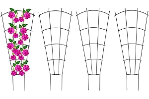 Feizeisun Plant Supports for Garden, 4 Pack 60cm High Strong Metal Fan Trellis for Climbing Plants in Pots Indoor, Plastic Coated Steel Outdoor Decorative Plant Peony Support, Black (Fan shape)