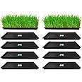 MyOwnGarden Wheat Grass Trays - Growing Microgreen Tray, Hydroponics, Seedling Starter for Greenhouse, Hydroponics, Vegetables, Flower Germination, Paddy Tray, Thick Reusable (Set of 10)