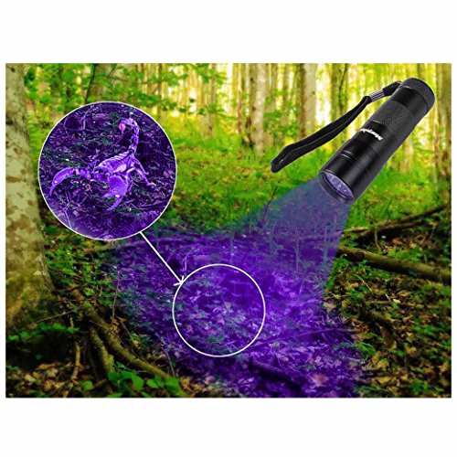 Schwarzlichtlampe Morpilot 12 LED UV Taschenlampe Schwarzlicht für eingetrocknete Flecken Ihrer Hunde, Katzen und Nagetiere auf Teppichen, Vorhänge , Gardinen, Möbel und anderen Stoffen ,sogar für Nagel trocken (Batterien nicht im Paket) [Energieklasse A+++] - 3