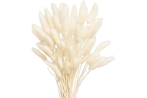PSFXBM 50PCS Bunny Tails Dried Flowers, White Pampas Grass for Vase, Wedding, Home Decor, Party, Artificial Dried Flowers Bouquet for Cake, Grass Home Decor Dried Grasses for Vases Cake
