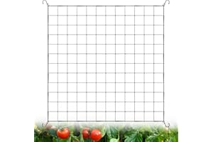Tatxmalv Filet Plante 120 x 120cm, Maille de Plante Élastique, avec 4 Crochets, Filet Plante Grimpante pour Plantes, Légumes, Fruits, Fleurs - Treillis pour Jardins et Serres