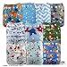 LittleBloom, Reusable Pocket Cloth Nappy, Fastener: Popper, Set of 10, Patterns 1002, Without Insert, (see "Special Offers and Product Promotions" for Special Offers Detail)