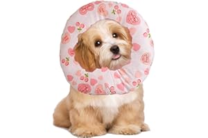 Ducomi Molly Collare per Recupero Cane Gatto – Regolabile Collarino Elisabettiano Protettivo Morbido per Animali Domestici per Guarigione Ferite Intervento Chirurgico (M, Love)