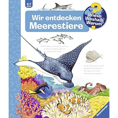 Wir entdecken Meerestiere (Wieso? Weshalb? Warum?, Band 27)