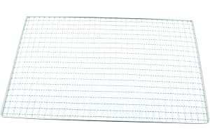 REACHMALL Griglia rettangolare per barbecue, in acciaio , griglia per barbecue, tappetino per barbecue all'aperto, giardino, campeggio, viaggi, escursionismo, cucina (40 x 25 cm)