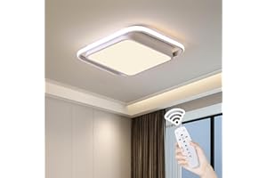 Naroume Modern Smart LED Ceiling Lights Dimmable LED Ceiling Lamp with Remote Control Acrylic Flush Mount Ceiling Lighting Fixtures for Living Room Kitchen Dining Room (6-38) x2W