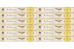 Berk Räucherstäbchen Holy Smoke - Ambrosia, 12 Packungen (je Packung ca. 8-10 Räucherstäbchen)