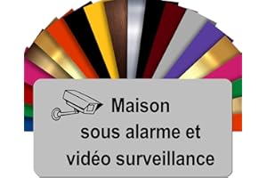 GRAVURE CONCEPT Plaque Maison Sous Alarme Et Vidéosurveillance Autocollante – Plaque De Maison PVC Adhésive 10 x 5 cm – 21 Couleurs Disponibles (Gris Mat)
