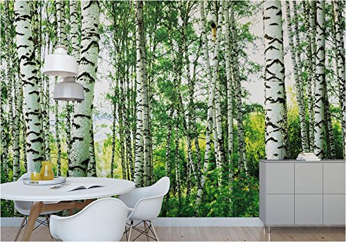 beneart® Fototapete Birkenwald - 350 x 250 cm - Wandbild bunt XXL - Home Deko - Tapete Wald - Wand Deko - viele verschiedene Motive
