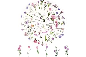 COOLON Flower Stickers, 80 Pcs Self-Adhesive Scrapbook Stickers for Bullet Journal,Scrapbook,Laptop,Card,Window,Water Bottle,Skateboard