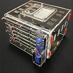 éducatif pour humidité avec Aire de nid pour Fourmis, fourmilière Acrylique, Insectes Fourmis Villa Nouvelle Animal de Compagnie Manie avancée pour Fourmis domestiques Nouvelle Conception (Black)