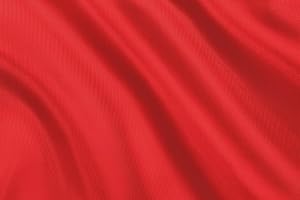 AZ MERCERIE Tessuto Fodera al Metro per Cucito creativo e confezione di abiti altezza 150 cm disponibili in vari Colori (ROSSO 166)