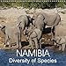 Produktbild NAMIBIA Diversity of Species (Wall Calendar 2018 300 × 300 mm Square): Impressions of the multifaceted animal world of Namibia (Monthly calendar, 14 ... [Kalender] [Apr 01, 2017] Morper, Thomas