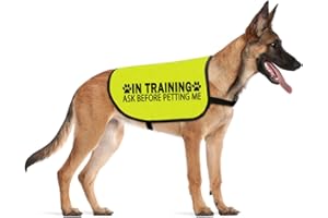 CENWA In Training Please Don't Approach/Ask Before Petting Me Dog Jacket Vest Alert Slogan Warning Vest (Before petting Large)