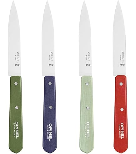 Lot De 6 Couteaux D'office Pradel - Manche Bois, Lame 9 Cm Inox - Neufs
