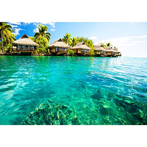 Fototapete Paradise 396 x 280 cm – Vliestapete – Wandtapete – Vlies Phototapete – Wand – Wandbilder XXL – !!! 100% MADE IN GERMANY !!! Runa Tapete 9011012c - 6