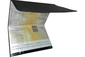 TECHRACE ETUI PVC PORTE CARTE-GRISE-Etui PVC Gomme pour Carte Grise 4 Volets