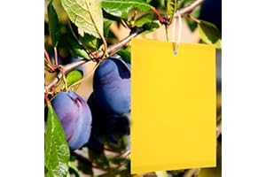 Y.A. LOTUS 50 Stück Gelbtafeln Klebrige Insektenfallen, Premium Gelbsticker Fliegenfalle, Gelbstecker Papiere für Gegen Trauermücken, Raupenleim, Minierfliegen und weiße Fliegen