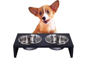 PAWISE Raised Dog Bowls, Elevated Dog Feeder, Elevated Dog Food Stand and Water Bowls Stand Feeder With 2 Stainless Steel Bowls and Anti Slip Feet（750ml x 2)
