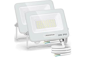 Aigostar Faretto LED da Esterno 30W, 2450LM, Faretti LED Esterno luce bianca 6500K, Luce di Sicurezza Impermeabile IP65, Per Giardino, Cortile, Garage, Corridoio, Confezione da 2