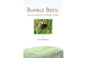 Bumble Bees: buzzing, beautiful, beneficial, big bees