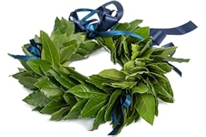 CORONEDILAUREA.COM Corona di alloro fresco per laurea Royal blù - fatta a mano | Tradizionale, artigianale, elegante | Luarea Magistrale e triennale | Coronacina laurea con fiocchi
