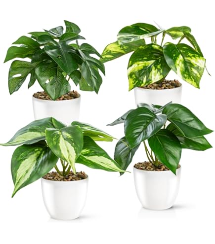 Coco Berming 2 stuks kunstplanten zoals echt, kunstplanten in pot, tafeldecoratie, groene planten voor woonkamer, kantoor, plastic decoratieve plant voor thuis, binnen (witte rand eenkleurig