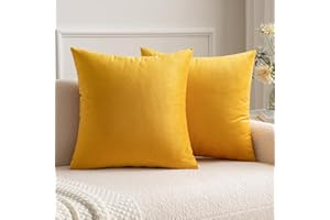 MIULEE Lot de 2 Housses de Coussins en Velours Décoratif Canapé Taie d'oreiller Doux Confortable Decoration Maison Salon Chambre pour Canapé 40X40CM Jaune Orange