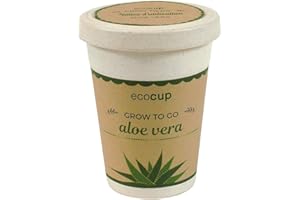 Feel Green Ecocup, Aloe Vera Exotics, Idée Cadeau (100% Ecologique), Grow-Your-Own/Kit Prêt-à-Pousser, Plantes Dans Coffee Cup 10 x 8 cm, Produit En Autriche