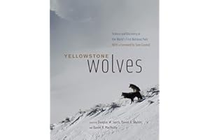Yellowstone Wolves – Science and Discovery in the World`s First National Park