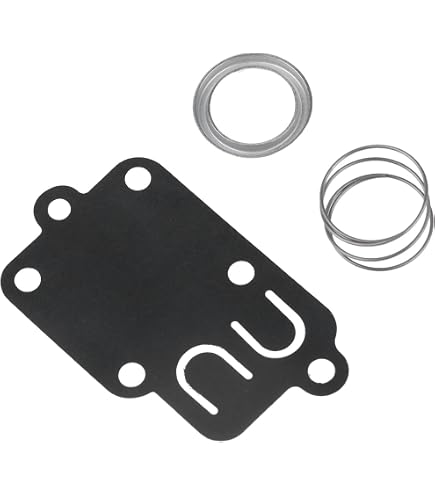 Greenstar 6713 Reparatursatz Für Briggs & Stratton Vergaser - Kompatibel Mit Vielen Modellen