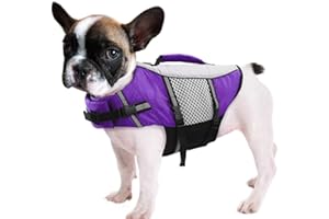 Queenmore Gilet de Sauvetage pour Chien léger hautement réfléchissant avec poignée de Levage et Anneau de Laisse