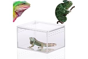 CAIYUANGJ Transparent Reptilienzuchtbox, Reptil Terrarium Box, Transparent Acryl Reptilienzuchtbox, Reptil Fütterungsbox, Transparente Reptilienbox, für Spide, Eidechse, Skorpion, Tausendfüßler (10.3x8.3x6CM)