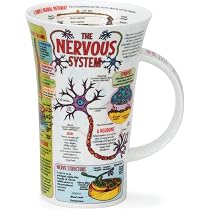 DUNOON Becher „It's A Sloth's Life“ – Faultier-Motiv, Aus Bone China, 600 Ml