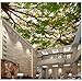 Produktbild Newberli 3D Decke Wandbilder Tapeten Wald Baumkronen Der Himmel Malerei Dekor Foto 3D Wandbilder Wallpaper Für Wohnzimmer Wände 3D