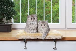CLEVERCAT Fensterliege beige Made in Germany, gepolsterte Liegefläche, kinderleichte Montage