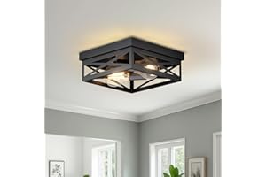 LVWIT Hallway Ceiling Lights,2 Way Kitchen Ceiling Light Fitting with E27 Flush Light Fittings Ceilings,Square Spot Lights,Ceiling Lighting Living Room,Chandeliers Ceiling Light,(NO Bulb)