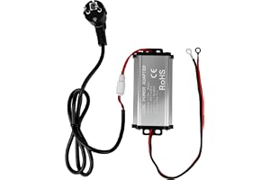 Strömadapter 230 V till 12 V, spänningskonverterare för dieselvärmare allt-i-ett 5 kW och 8 kW - 200 W-adapter för husvagn, camping, husbil och inomhusbruk